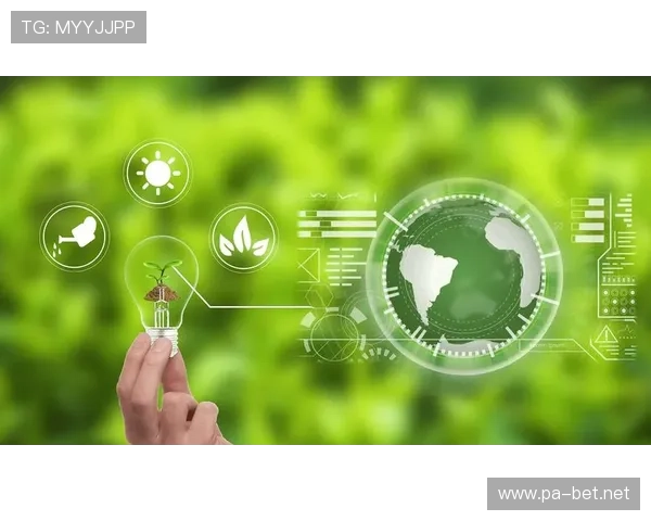 君临国际引领未来发展，打造全球化创新平台，推动行业变革与可持续增长