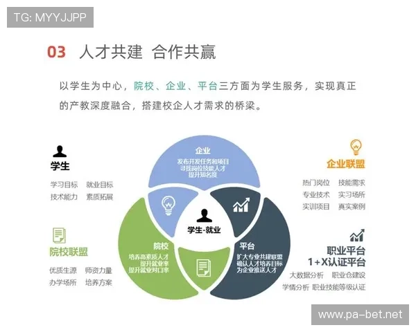 打造全方位体育体验 i米体育引领数字化运动新时代