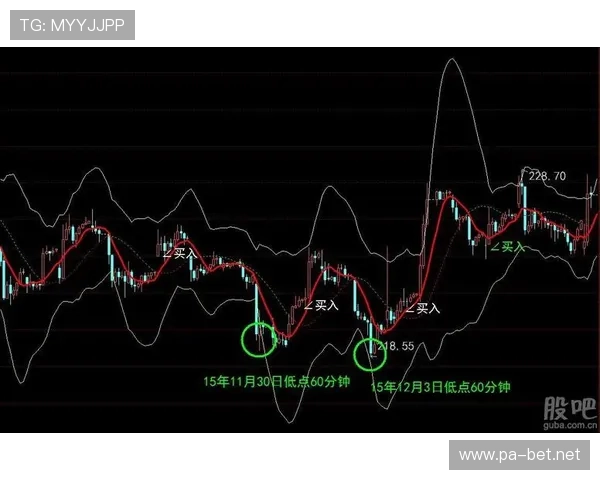 亿万28财富密码揭秘与未来投资机遇全解析