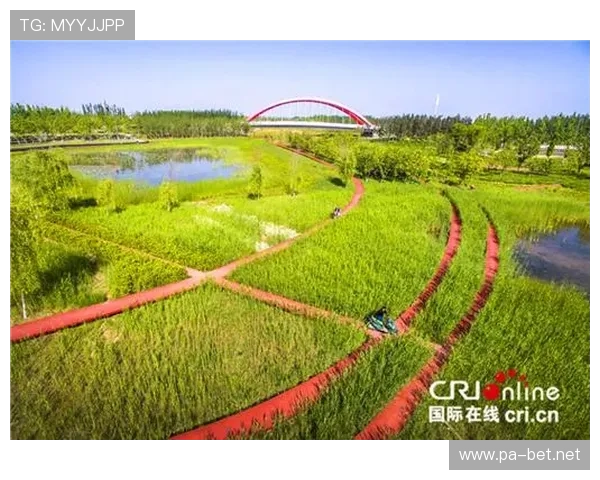 以瑞丰国际为核心驱动打造区域经济协同发展新格局探索路径实践与创新