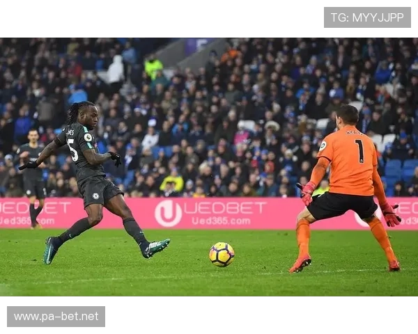 深度解析bet365世界杯赔率变化规律及夺冠热门球队实力前景预测专题